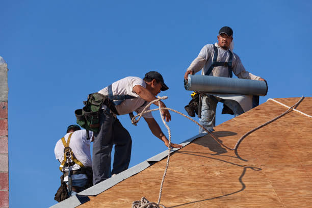 Best Roof Repair Services  in Claremont, NC